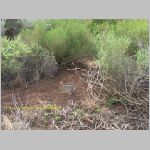 20060817_16Arches_010 copia.jpg